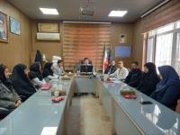 رسانه جدید