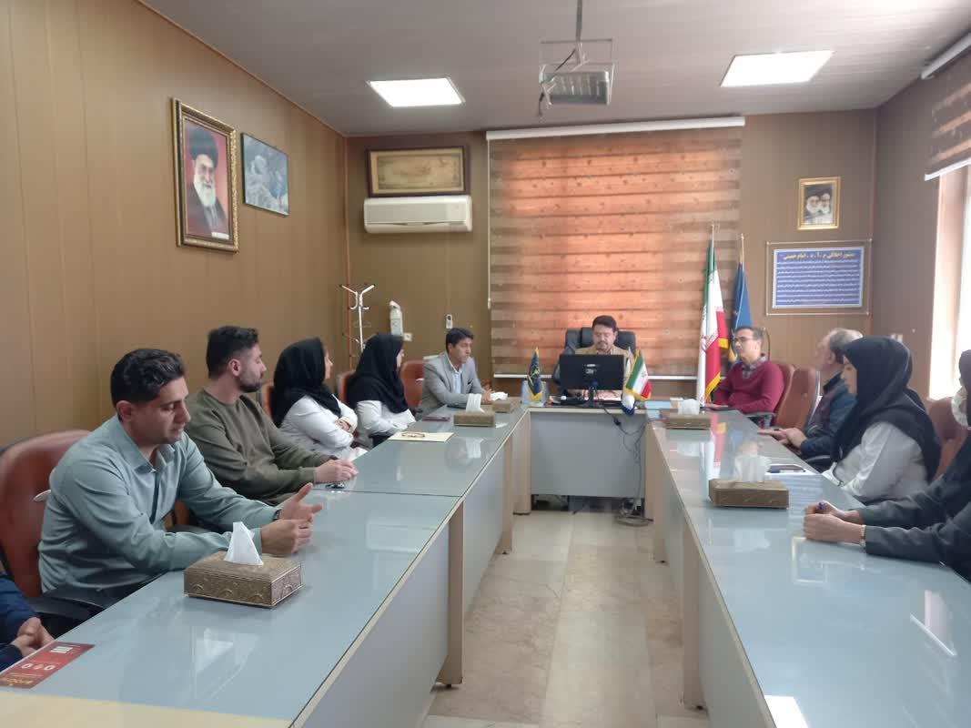 رسانه جدید
