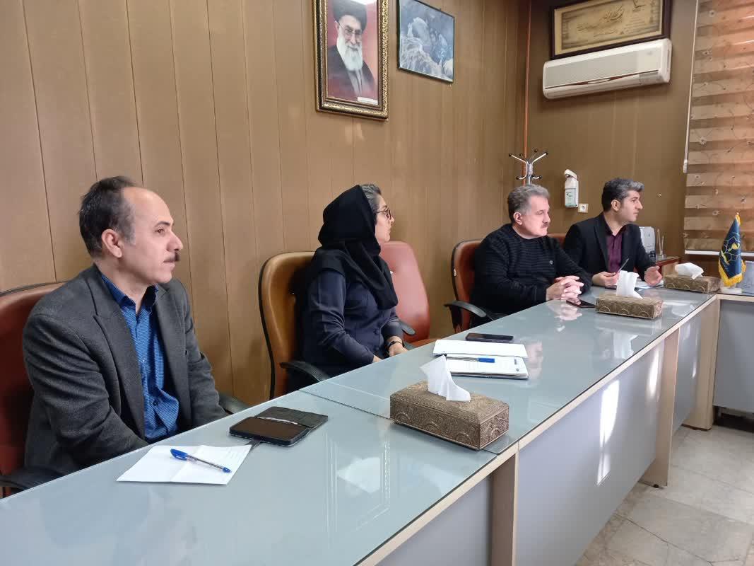 رسانه جدید