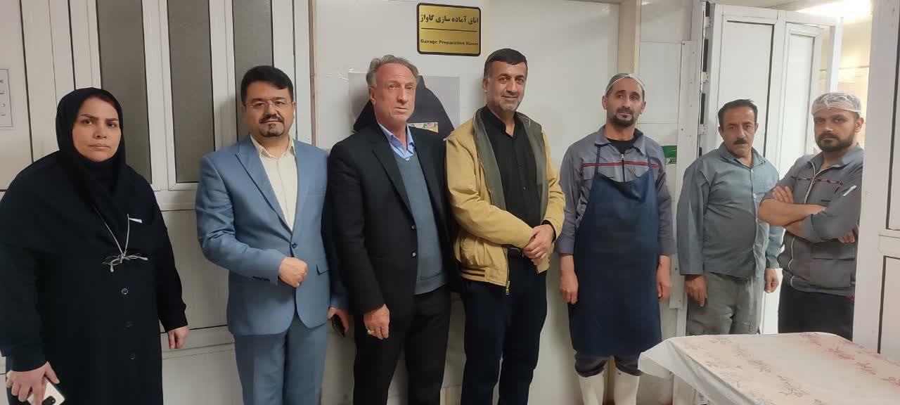 رسانه جدید