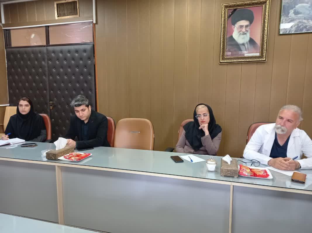 رسانه جدید