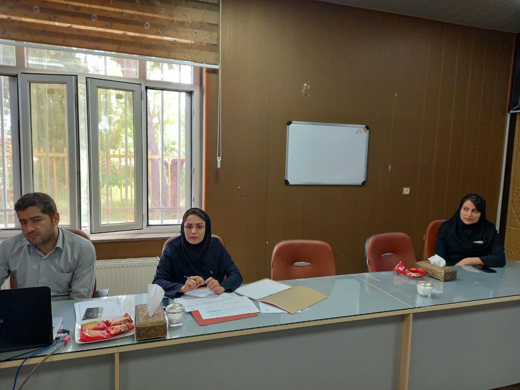 رسانه جدید
