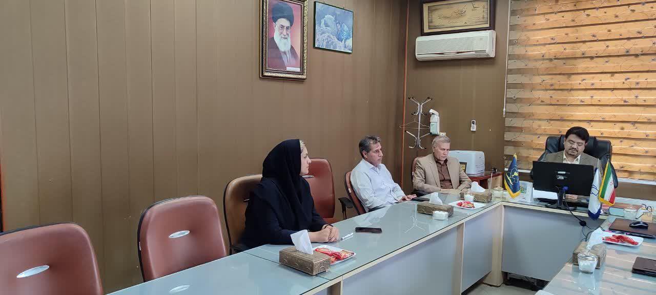 رسانه جدید
