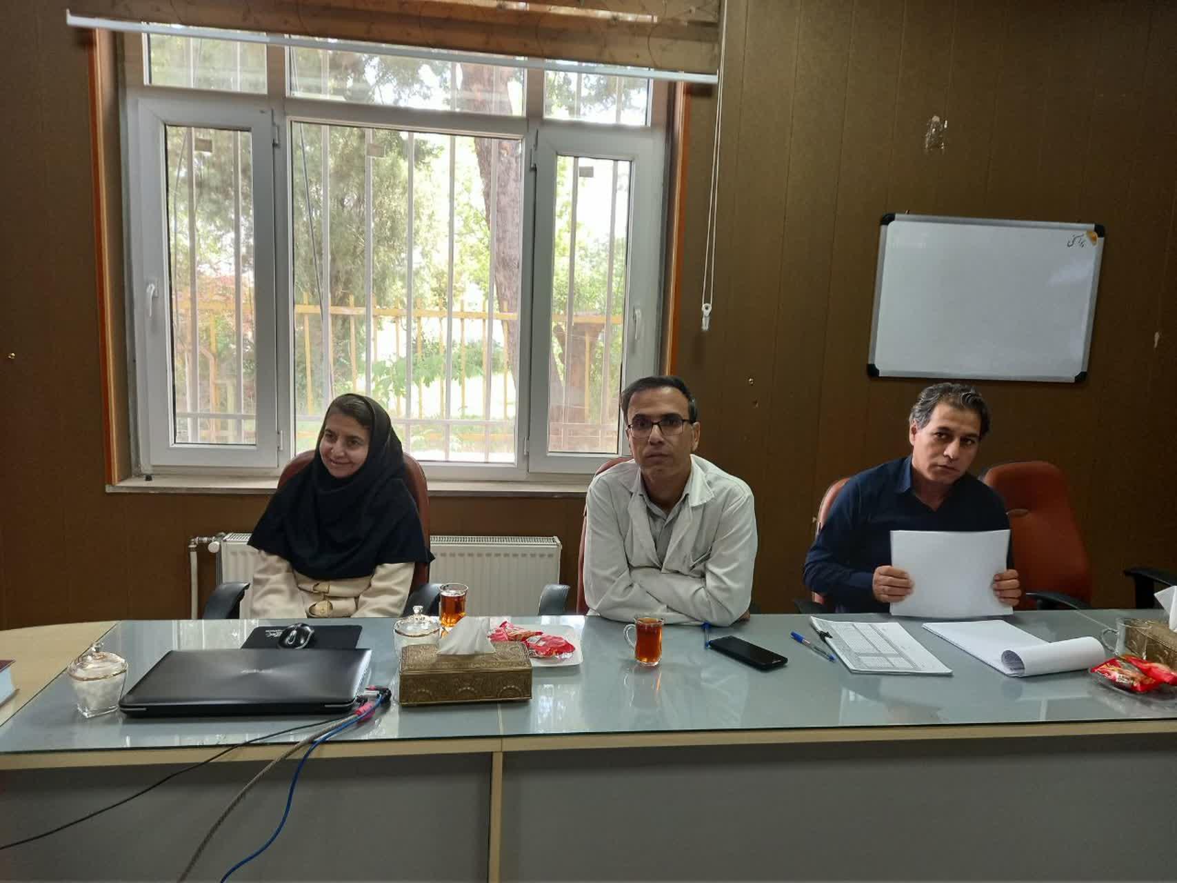رسانه جدید