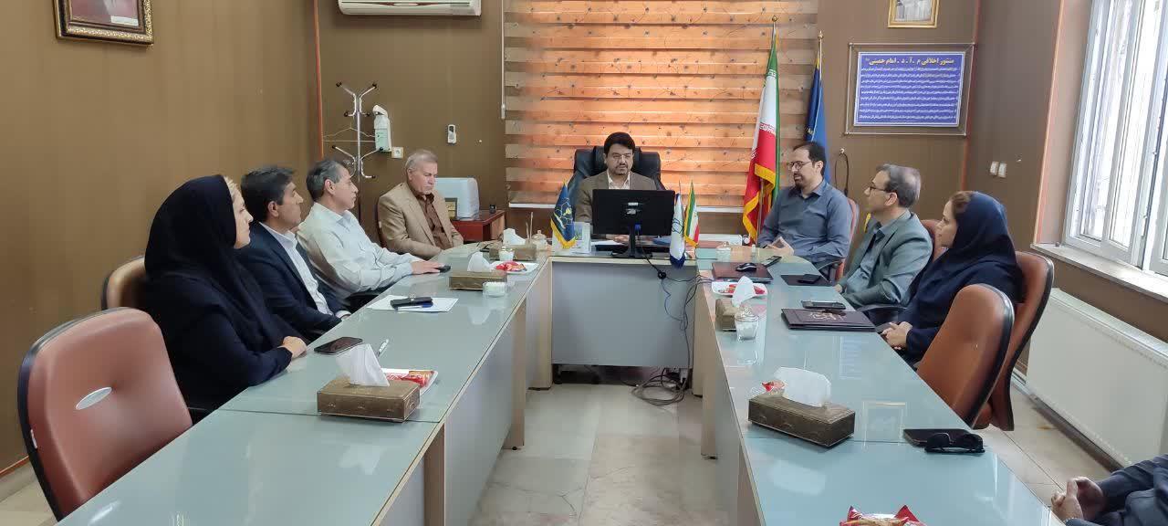 رسانه جدید