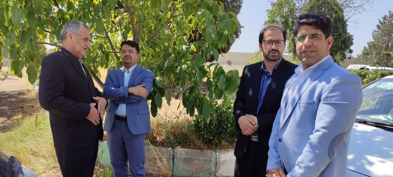 رسانه جدید
