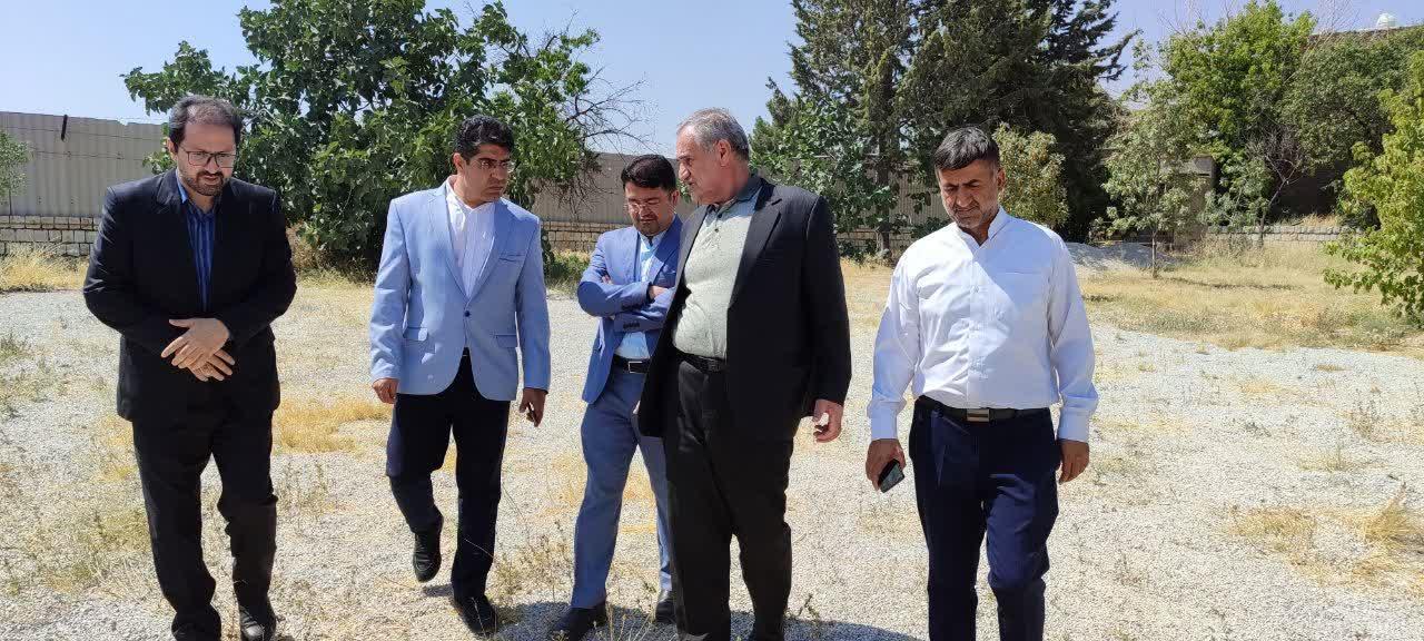 رسانه جدید