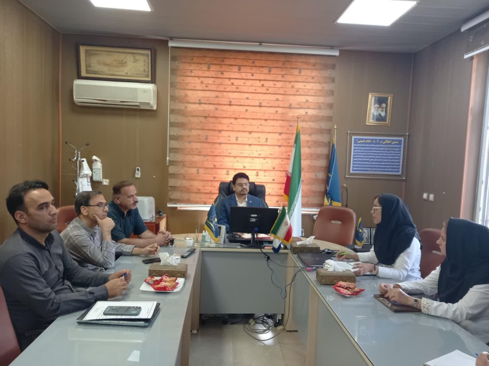 رسانه جدید