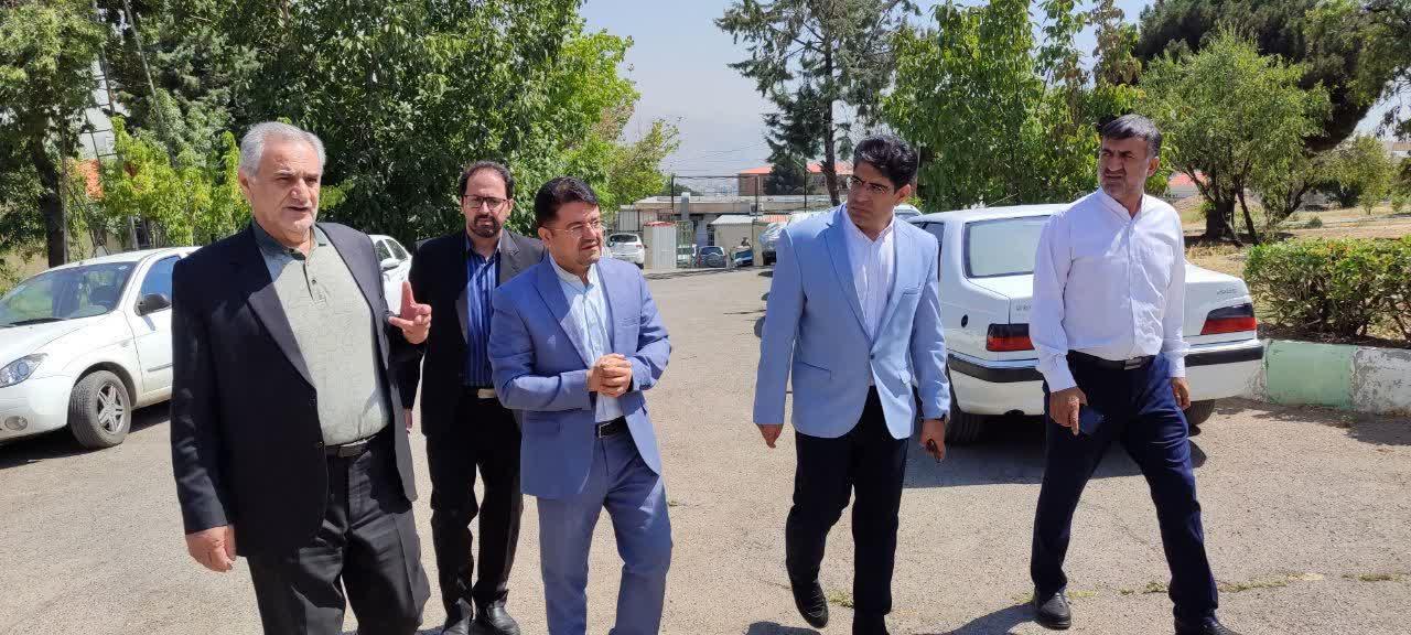 رسانه جدید