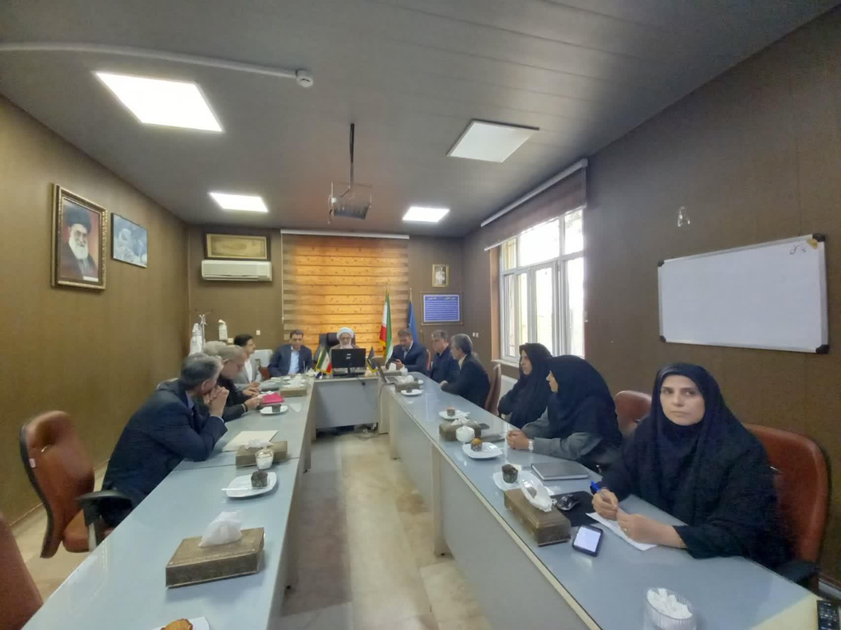 رسانه جدید