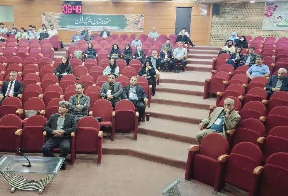 رسانه جدید